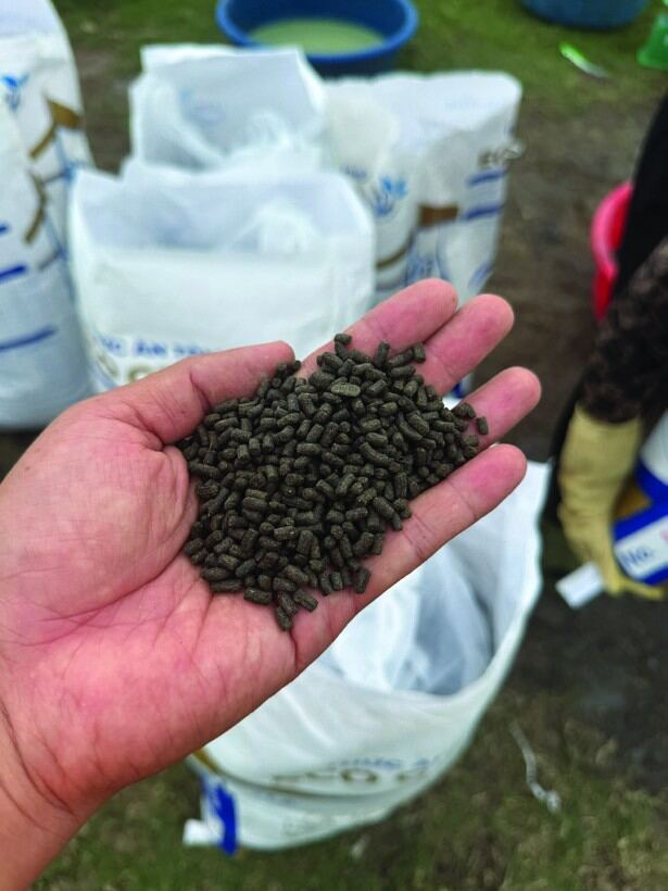 Thức ăn CARAMICFEED