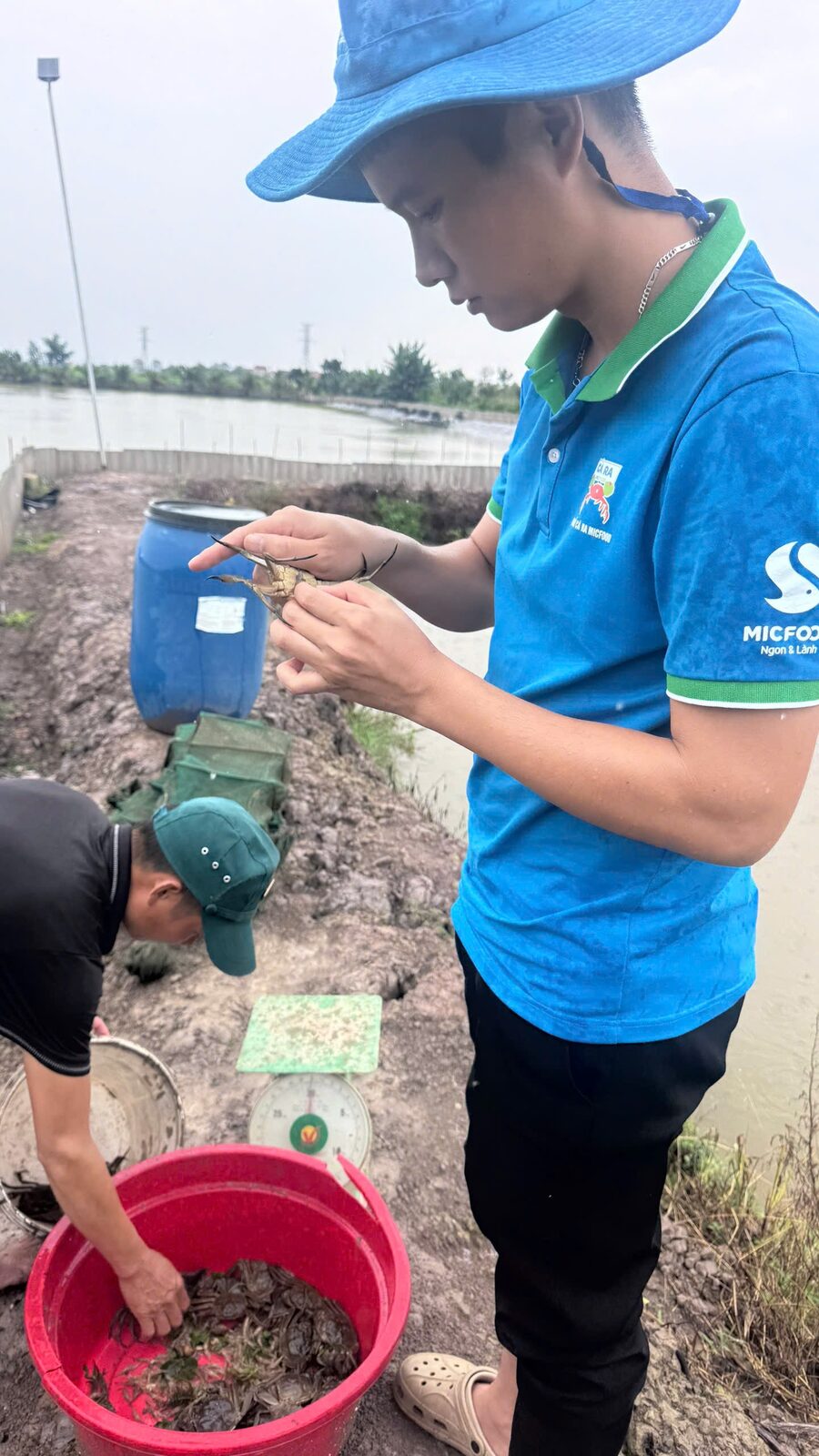 S4 · CHUYỂN GIAO KỸ THUẬT