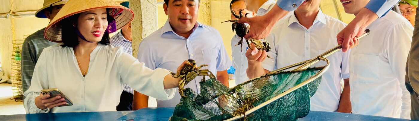Chất lượng làm gốc
