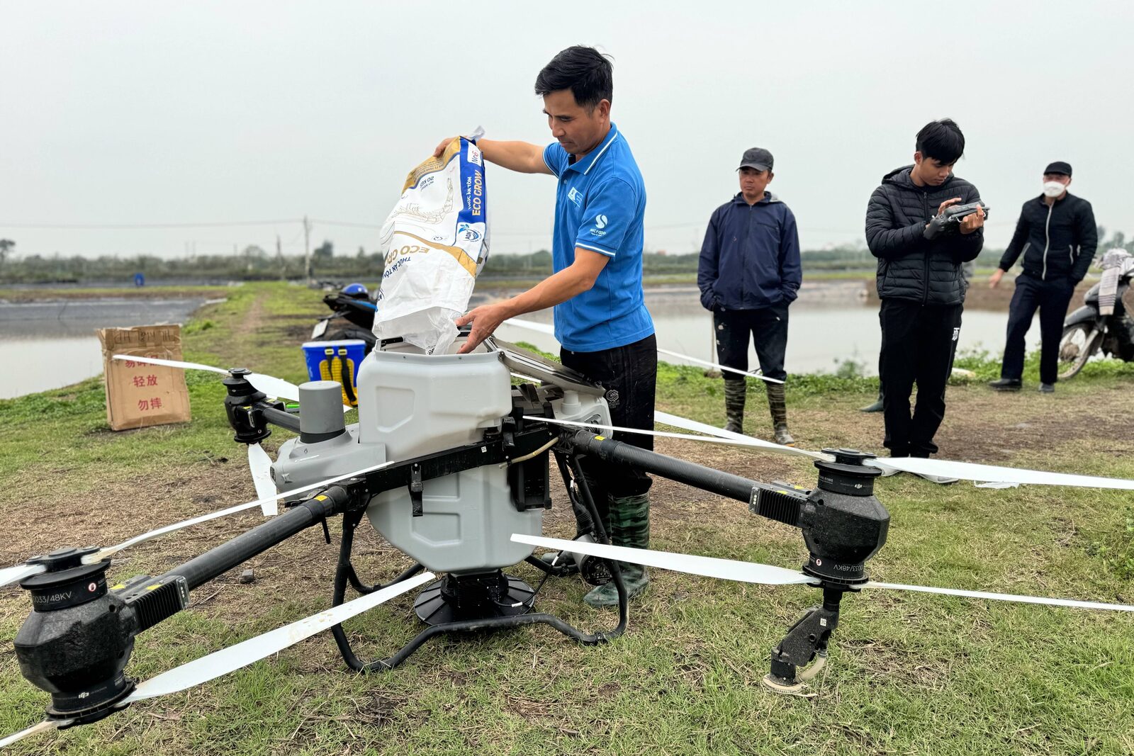 Giai đoạn cua lột xác trong vùng nuôi