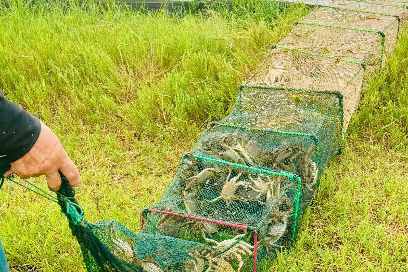 Chặng mở rộng và xuất khẩu