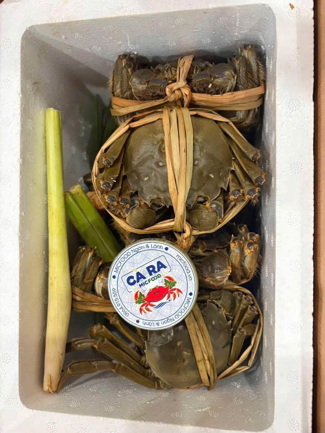 Phân loại cua cà ra theo cỡ