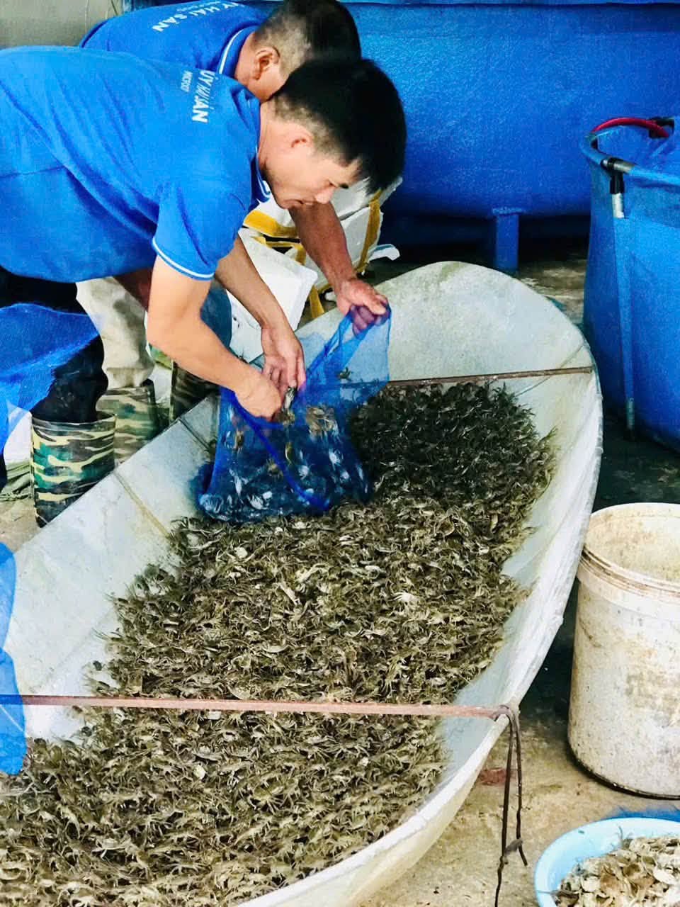S3 · CON GIỐNG, THỨC ĂN & CHẾ PHẨM