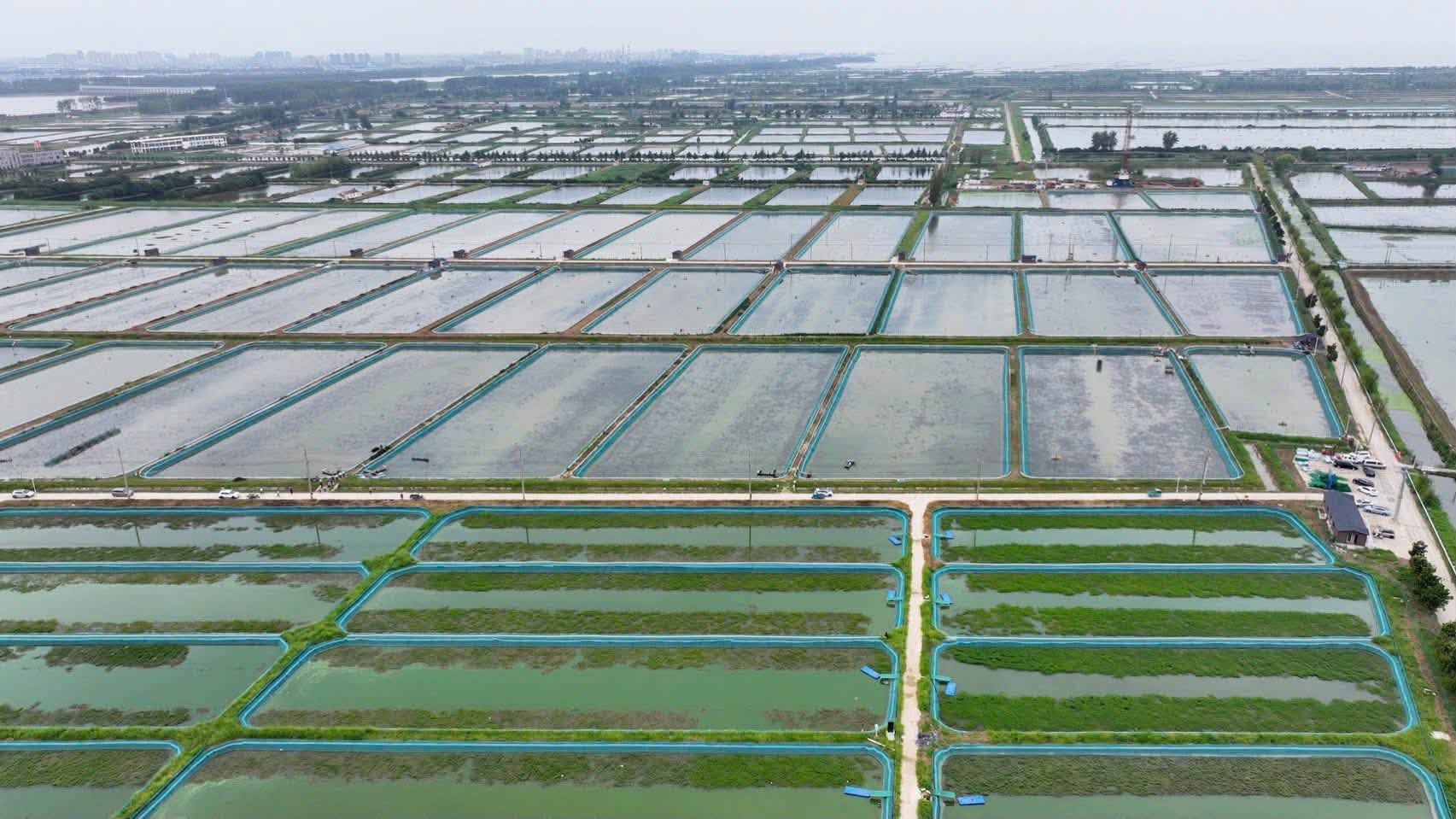 Vùng nuôi cua cà ra MICFOOD nhìn từ trên cao