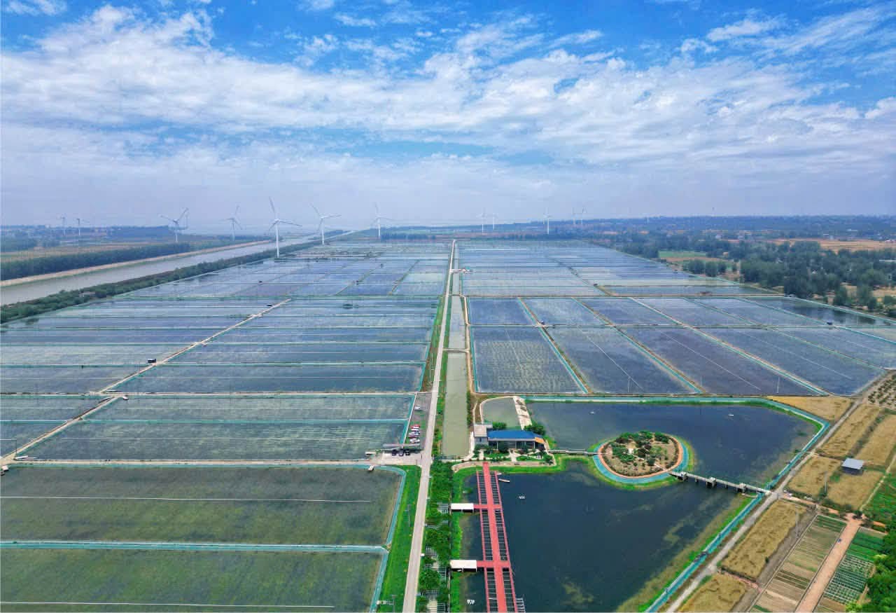 Mốc 2025 MICFOOD