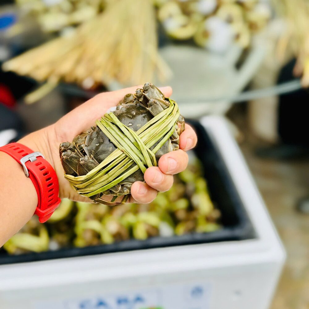 Cua cà ra thương phẩm