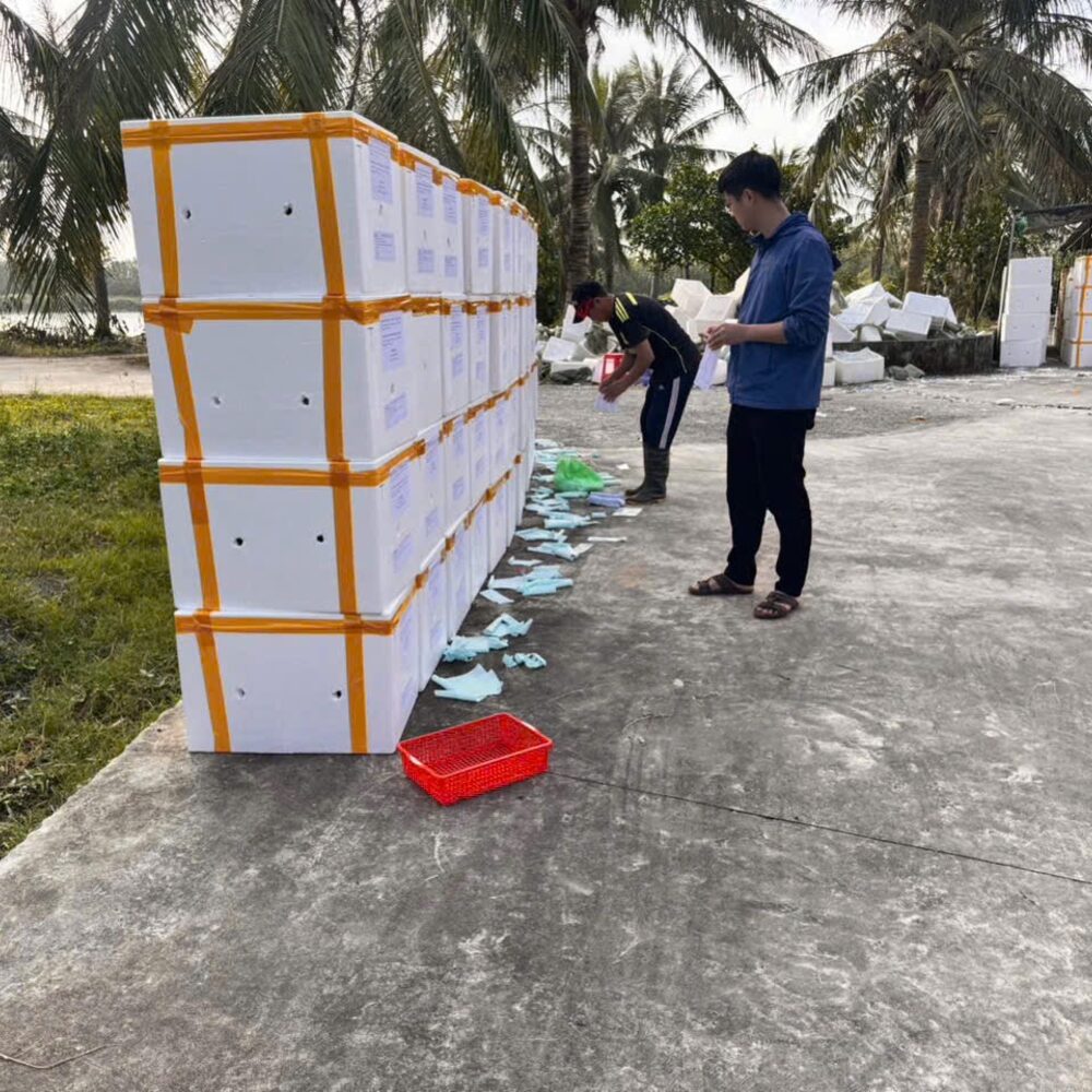 Liên kết thu mua đầu ra