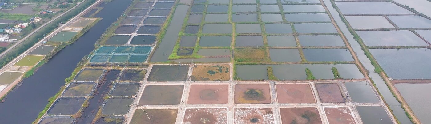 Phát triển bền vững